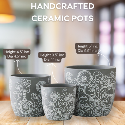 Hand Painted Ceramic Pots Set 3 - Artisan Made Decorative Planters