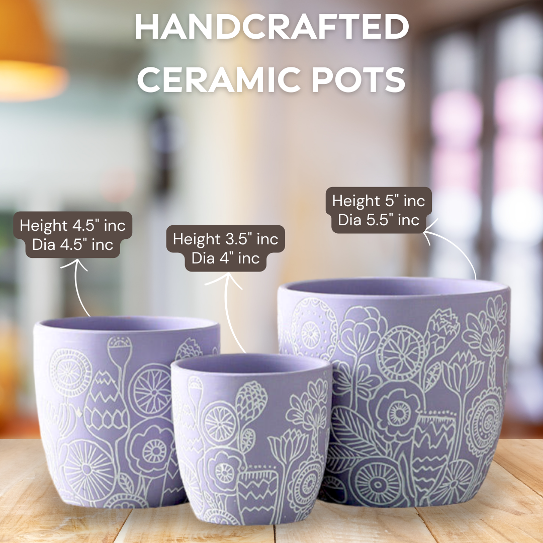 Hand Painted Ceramic Pots Set 3 - Artisan Made Decorative Planters