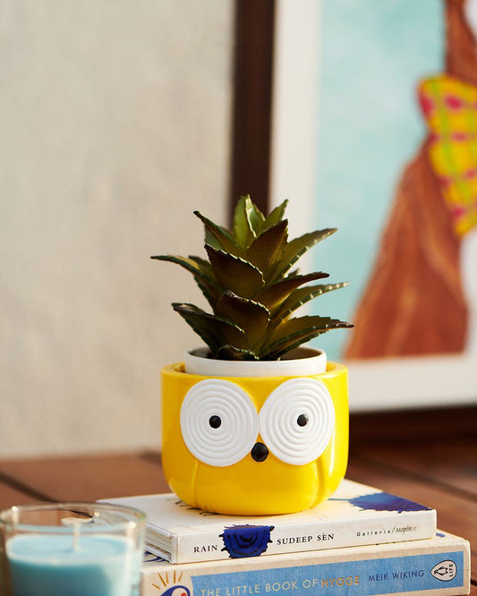 mini pot