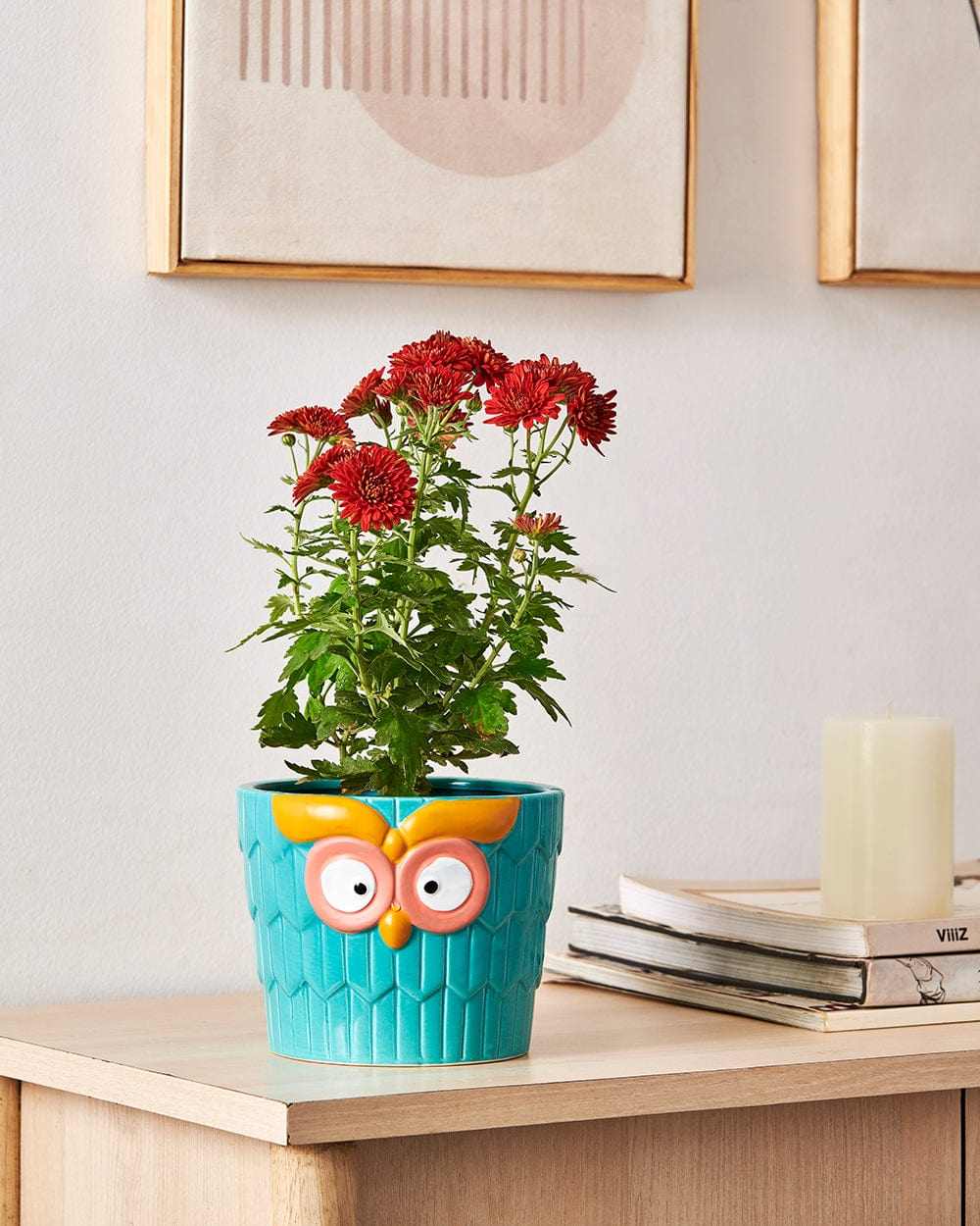 Owl Pot
