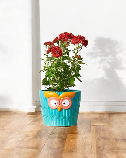Turquoise Owl Pot, Hand-Painted Indoor Plant Decor, Resin