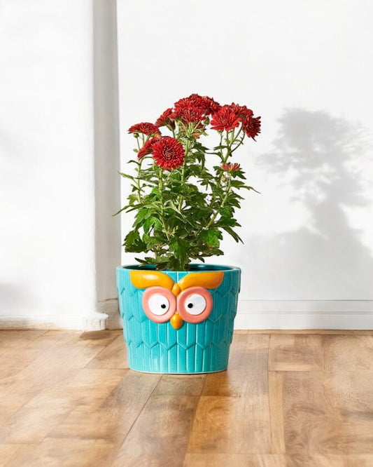 Turquoise Owl Pot, Hand-Painted Indoor Plant Decor, Resin
